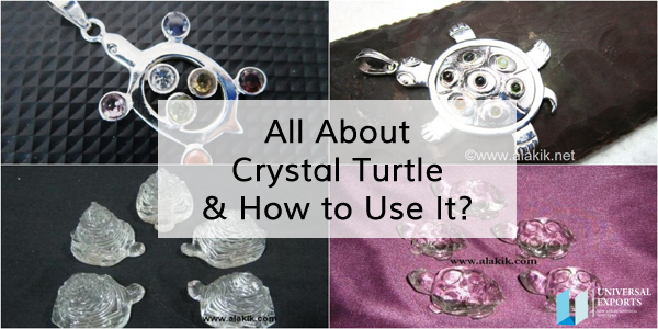 All About Crystal Turtle and How to Use It.